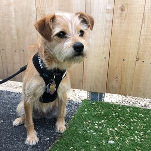 Meet your Posher, Elena